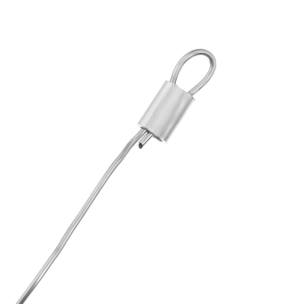 100 pz/lotto 0.8mm/1.0mm/1.2mm - Saltwater Line recensione e prezzo